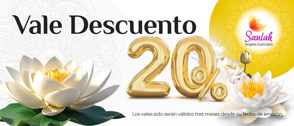 VALE DESCUENTO NAVIDAD