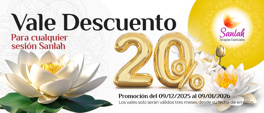 VALE DESCUENTO NAVIDAD