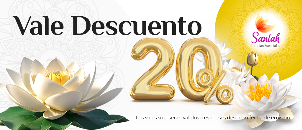 VALE DESCUENTO NAVIDAD